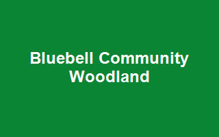 Bluebell Community Woodland