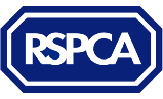 RSPCA Bournemouth, New Forest and District Branch