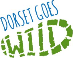 Dorset goes WILD